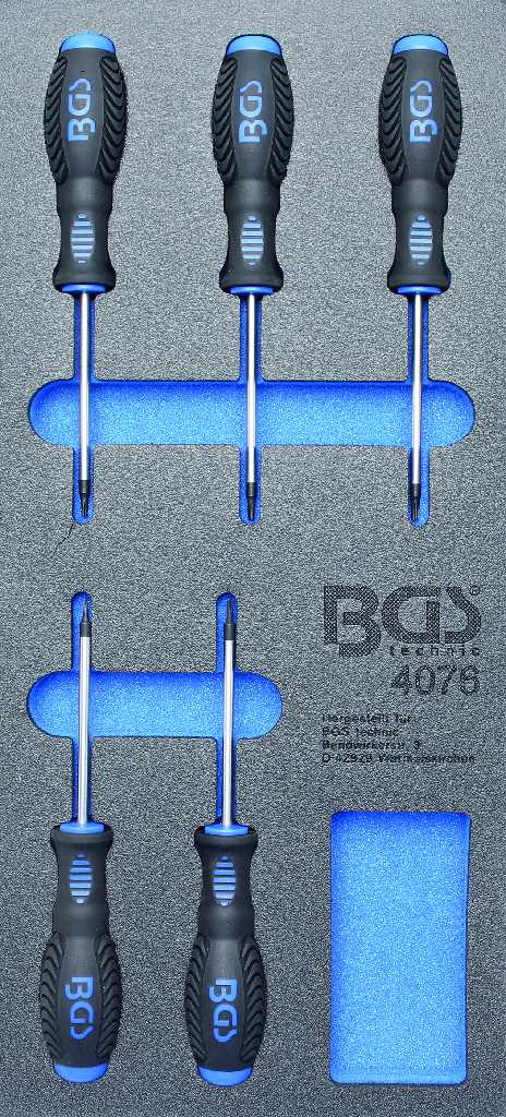 BANDEJA 1/3 DE POLIFOAM CON 5 DESTORNILLADORES TORX (T6 - T10)