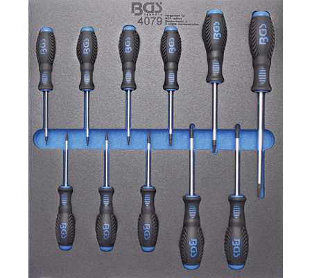 BANDEJA 2/3 DE POLIFOAM CON 11 DESTORNILLADORES TORX (T6 - T40)
